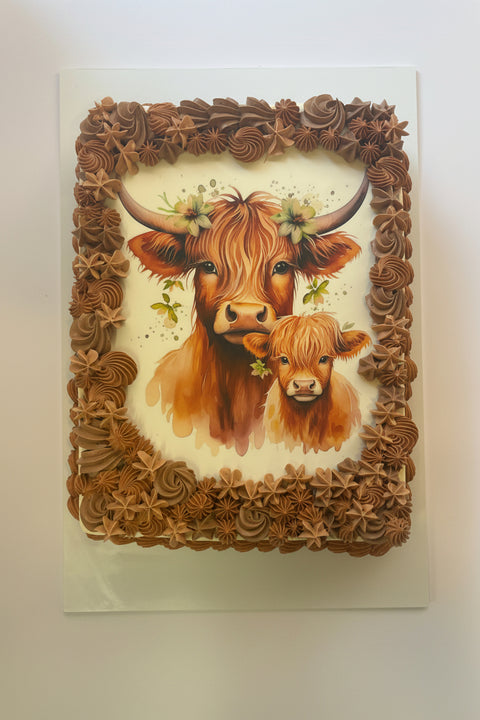 Decorative cake with cow design and brown floral border on a white background
