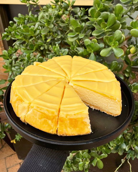 Lemon Cheesecake